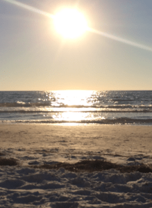 Blue light from the sun is good but blue light at night from artificial sources is bad! 